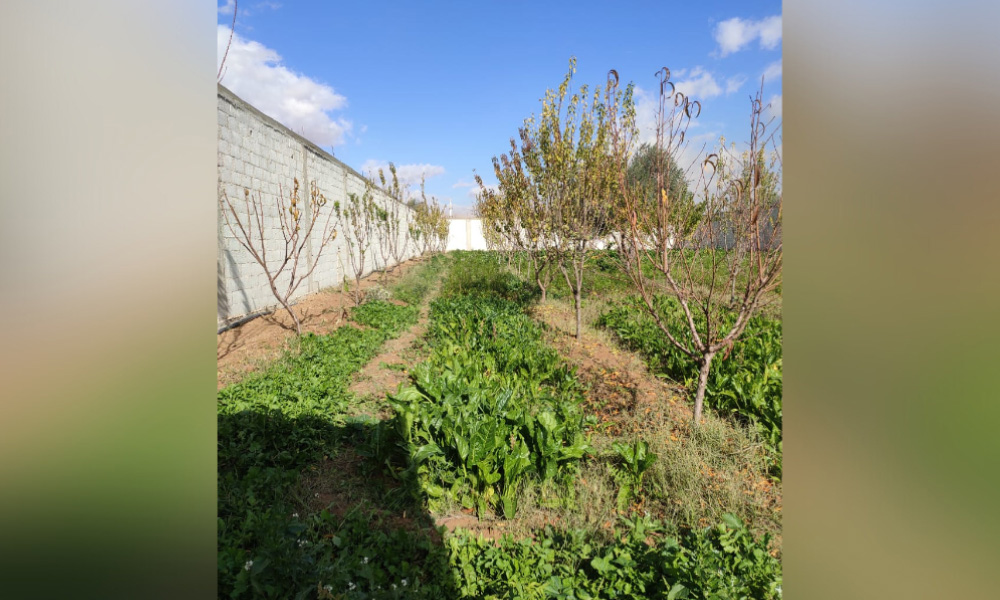 land-1836sqm-1003