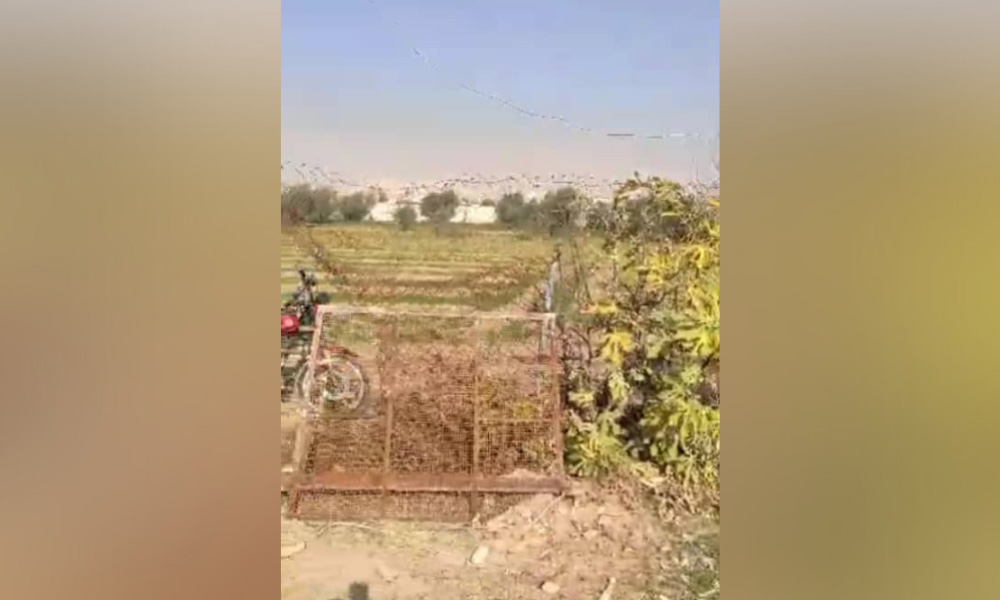 أرض للبيع في حرستا ريف دمشق بمساحة 2000 متر مربع