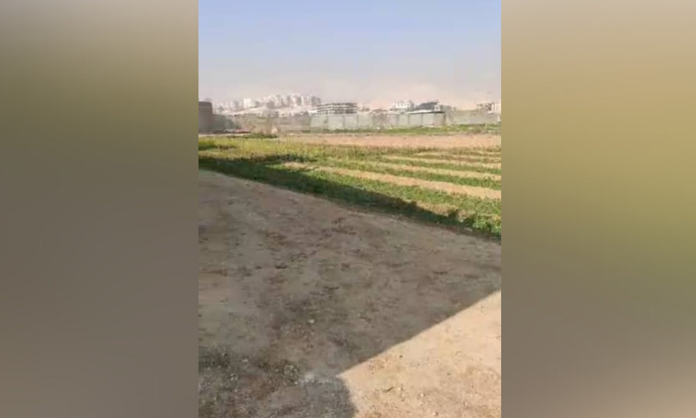 أرض للبيع في حرستا ريف دمشق بمساحة 2000 متر مربع