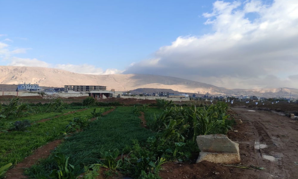 land-for-sale-harasta-800sqm.webp-1017