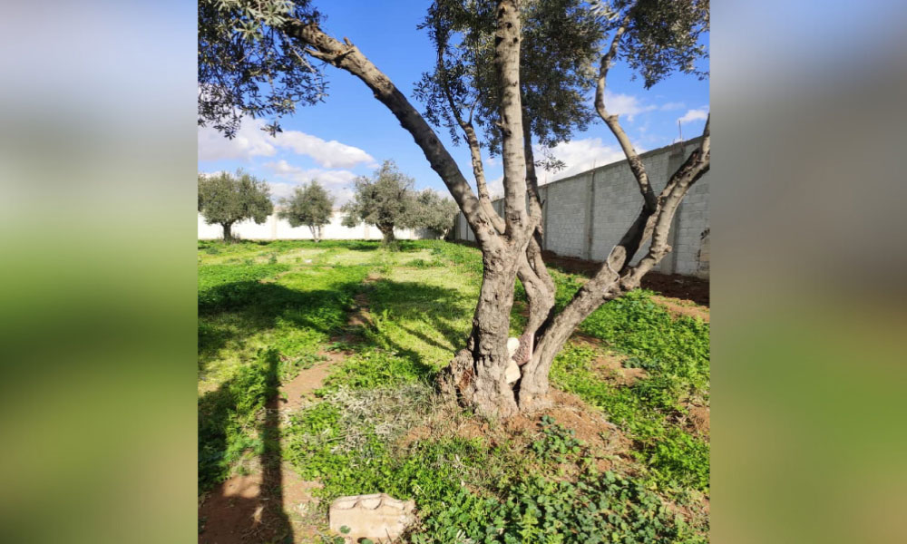 land-for-sale-harasta-1610sqm.webp-1018