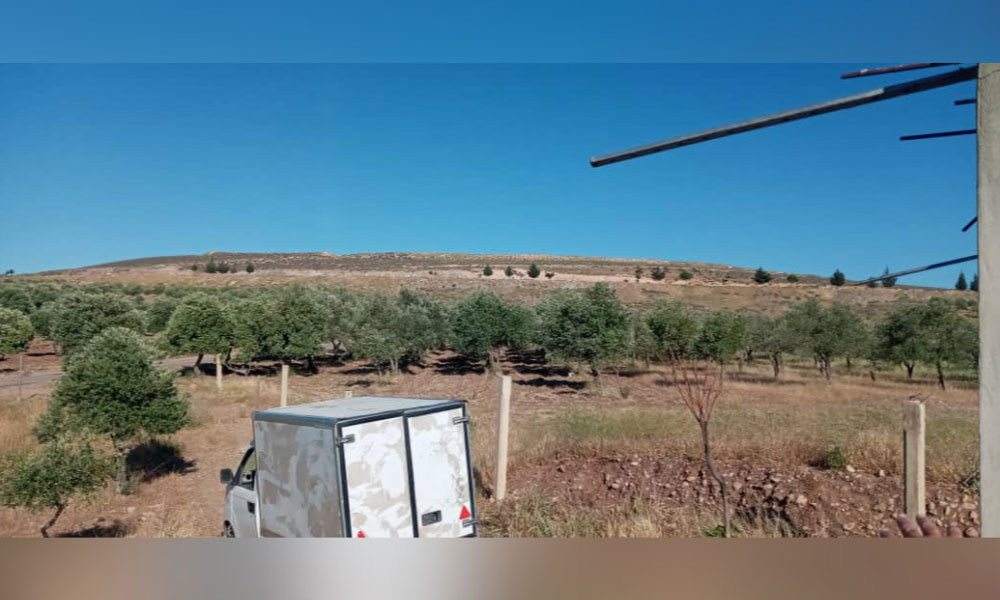 أرض للبيع في بيت تيما بمساحة 12 دونم في ريف دمشق 1044 (6)